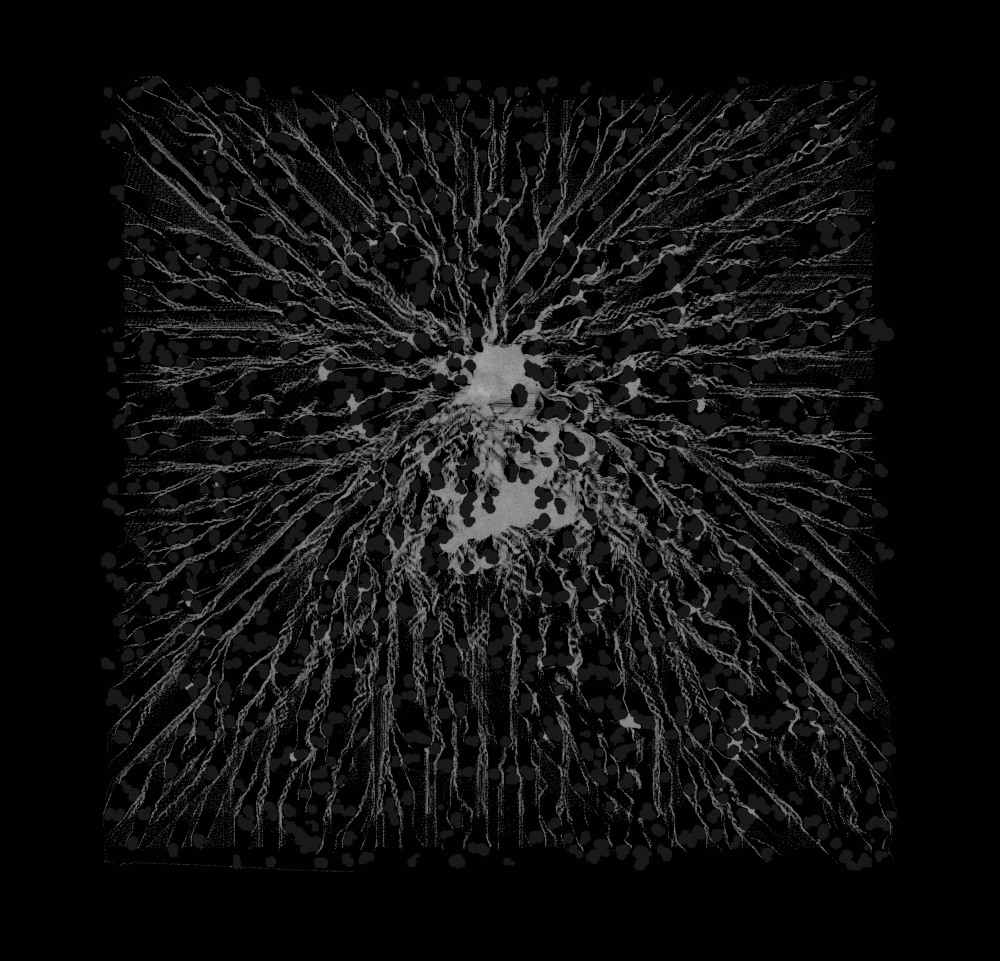 Crowd simulation trajectories flowing around obstacles